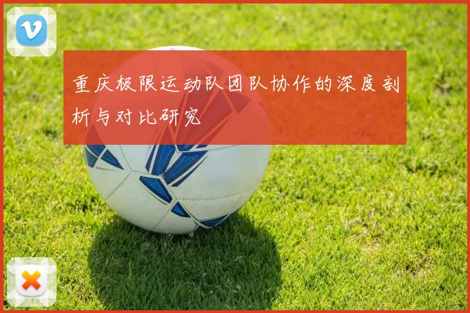 重庆极限运动队团队协作的深度剖析与对比研究