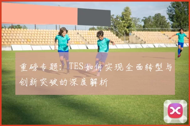 重磅专题：TES如何实现全面转型与创新突破的深度解析