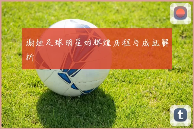 谢姓足球明星的辉煌历程与成就解析