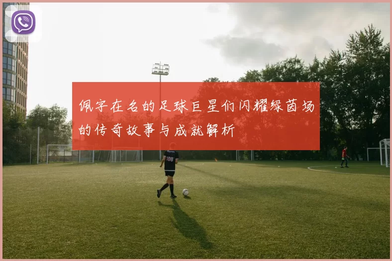 佩字在名的足球巨星们闪耀绿茵场的传奇故事与成就解析