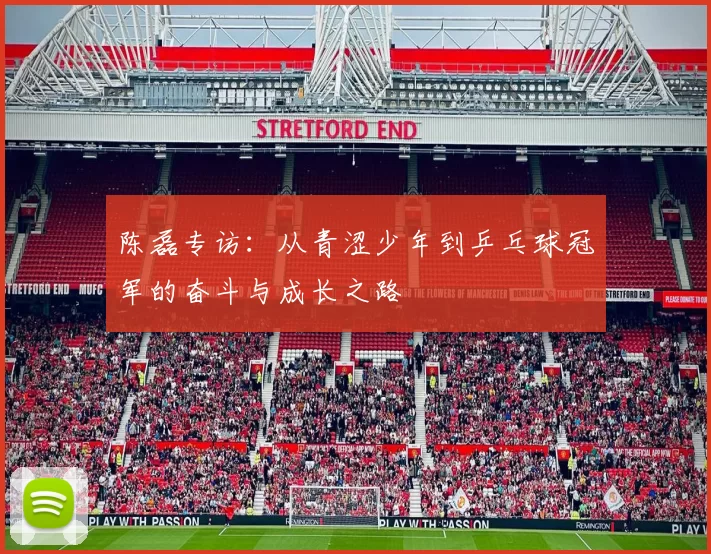 陈磊专访：从青涩少年到乒乓球冠军的奋斗与成长之路