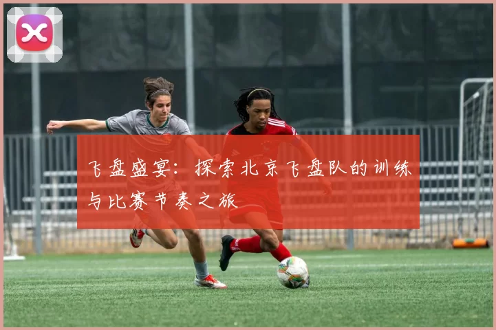 飞盘盛宴：探索北京飞盘队的训练与比赛节奏之旅