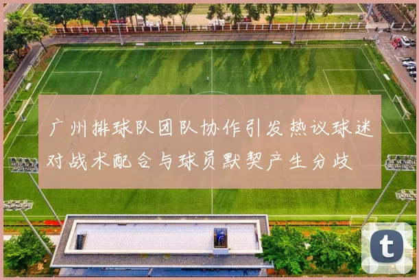 广州排球队团队协作引发热议球迷对战术配合与球员默契产生分歧