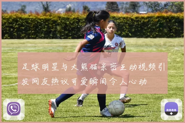 足球明星与大熊猫亲密互动视频引发网友热议可爱瞬间令人心动