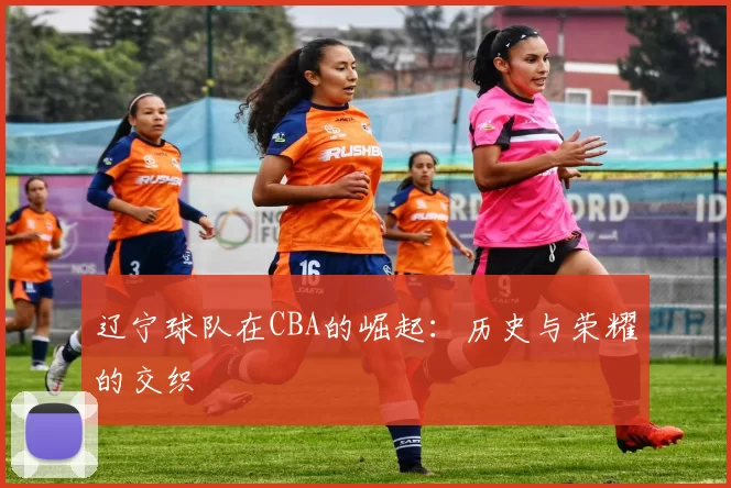 辽宁球队在CBA的崛起：历史与荣耀的交织