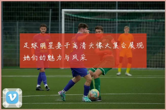 足球明星妻子高清头像大集合展现她们的魅力与风采