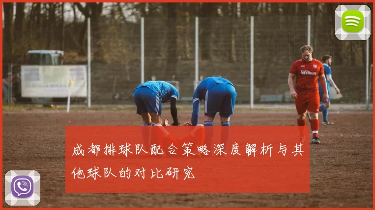 成都排球队配合策略深度解析与其他球队的对比研究
