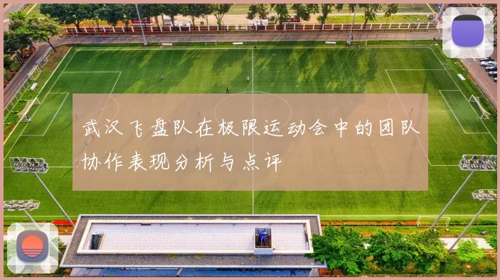 武汉飞盘队在极限运动会中的团队协作表现分析与点评