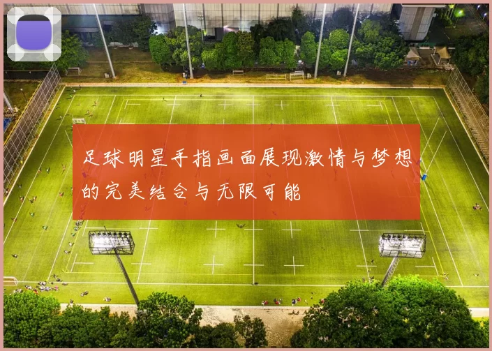 足球明星手指画面展现激情与梦想的完美结合与无限可能