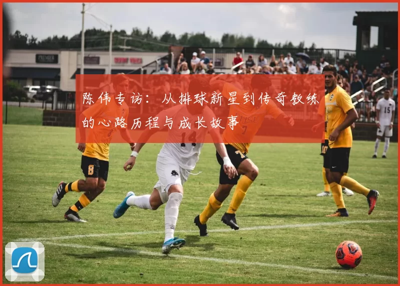 陈伟专访：从排球新星到传奇教练的心路历程与成长故事
