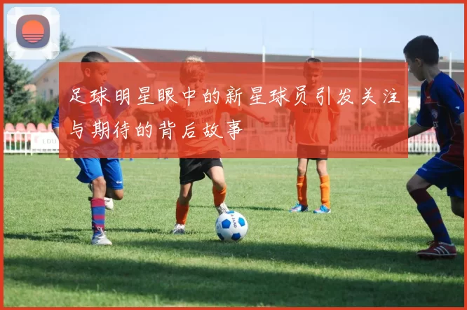 足球明星眼中的新星球员引发关注与期待的背后故事