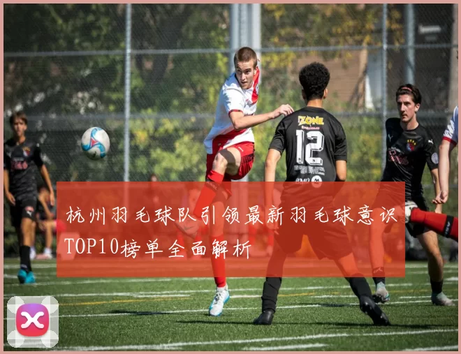 杭州羽毛球队引领最新羽毛球意识TOP10榜单全面解析