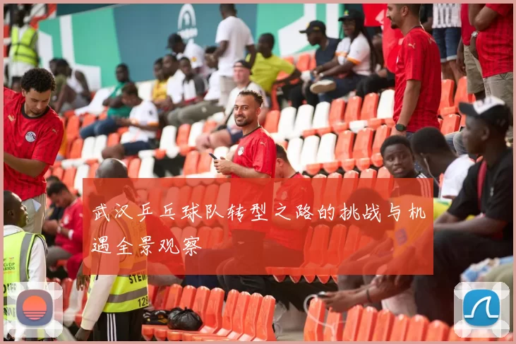 武汉乒乓球队转型之路的挑战与机遇全景观察
