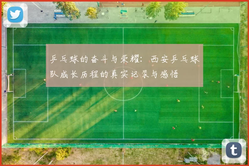 乒乓球的奋斗与荣耀：西安乒乓球队成长历程的真实记录与感悟