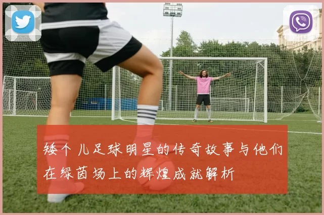 矮个儿足球明星的传奇故事与他们在绿茵场上的辉煌成就解析