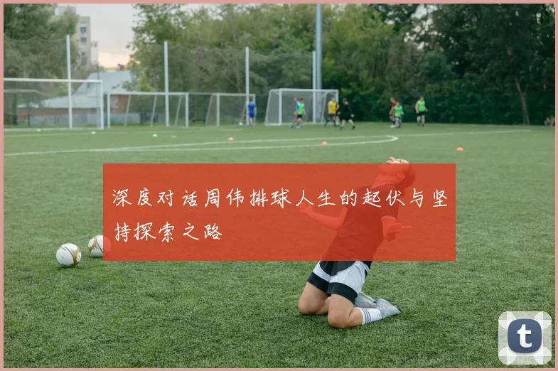 深度对话周伟排球人生的起伏与坚持探索之路