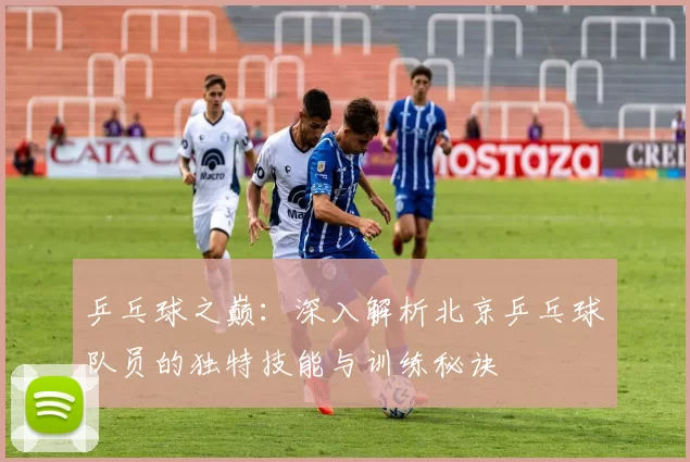 乒乓球之巅：深入解析北京乒乓球队员的独特技能与训练秘诀