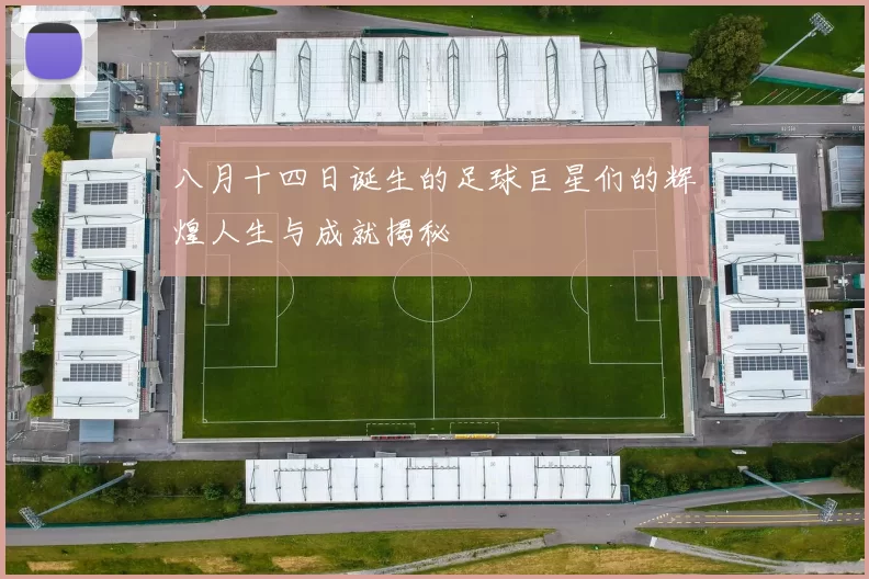 八月十四日诞生的足球巨星们的辉煌人生与成就揭秘